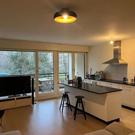 Séjour chez l'habitant Chambre en colocation dans un appartement de haut standing au coeur de Genève - Quartier Champel
